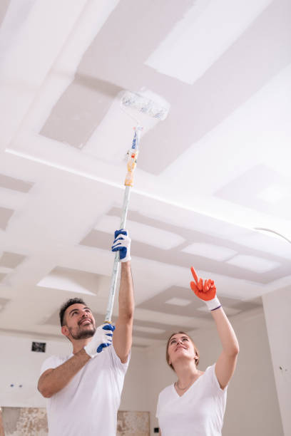 Best Ceiling Drywall Installation  in Lagunitas Forest Knolls, CA